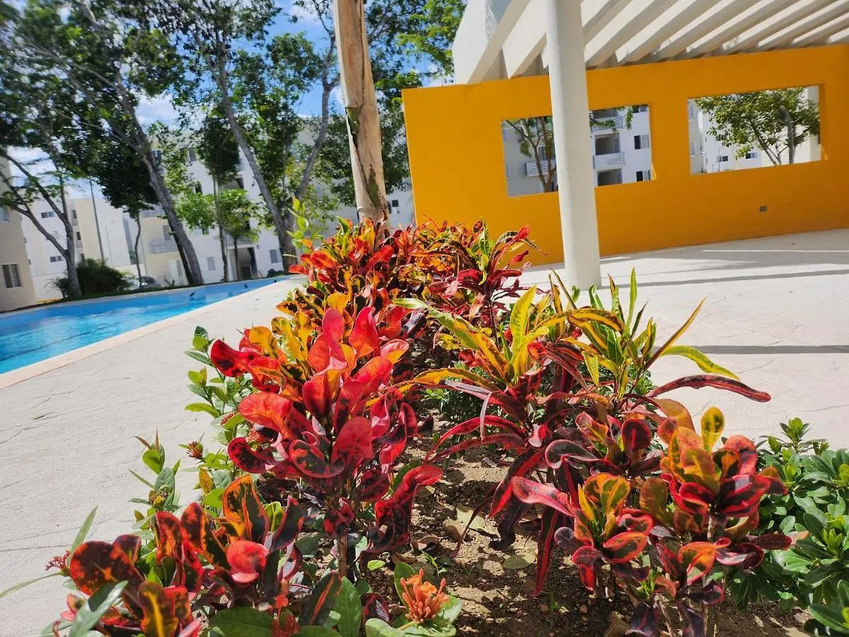 プレヤデルカーメンDepartamento Paseo Cumbres Lアパートメント アパート プレヤデルカーメン